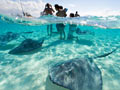 Cayman Islands Department of Tourism
