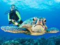 Featured Destination: Mexico's Beaches