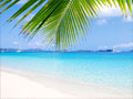 U.S. Virgin Islands/Discover America