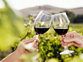 Travelzoo Destination of the Week - 1/11