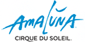 Cirque du Soleil