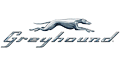 Greyhound