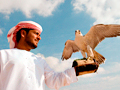 Dubai Department of Tourism