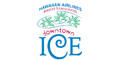 Downtown Ice