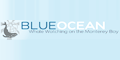 Blue Ocean Whale Watch