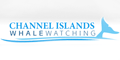 Channel Islands Whale Watching