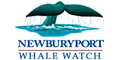 Newburyport Whale Watch