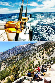 Newport Deep  Fishing on Top  Deep Sea Fishing From Newport Bay Bottom  Summit Of Mt  Baldy