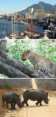 Top: Cape Town<br>Middle: Kruger National Park<br>Bottom: Hluhluwe-Umfolozi