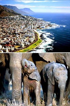 Top: Cape Town