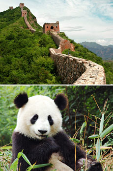 Top: Great Wall of China<br>Bottom: A panda in China