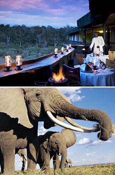 Top: Serena Mountain Lodge