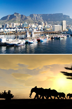 Top: Cape Town<br>Bottom: Kruger National Park<br>