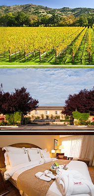Top: Napa Wine Country <br>Middle: Napa Valley Marriot <br>Bottom: King Room