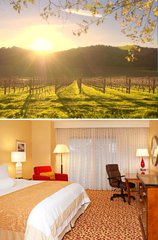 Top: Napa Wine Country <br>Bottom: King Room