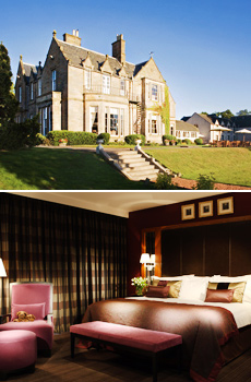 Bottom: Executive Room