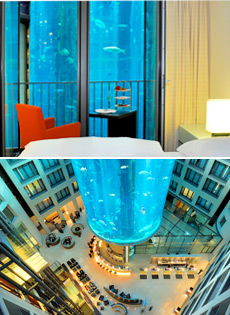 Bottom: Lobby Aquarium