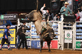 the professional bull riders will be bucking in las vegas for the 2009 built