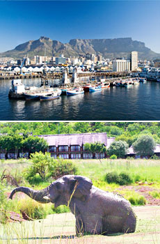 Top: Cape Town<br>Bottom: Bakubung Bush Lodge