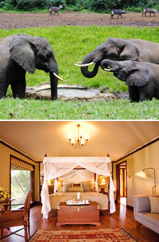 Bottom: Lake Elmenteita Luxury Camp