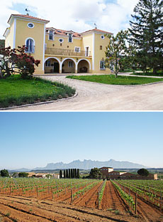 Arriba: Bodegas Marqu&eacute;s de Vargas<br>Abajo: Vi&ntilde;a Gir&oacute; Ribot