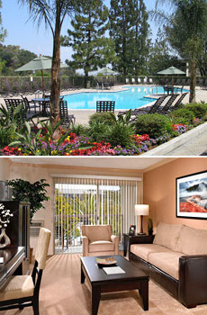Top: Hotel's pool<br>Bottom: One-bedroom apartment