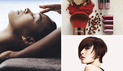 $99 -- Aveda Package w/Facial at Bliss in Corona (Reg. $240)