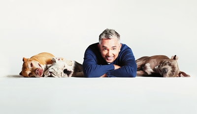 Dog Whisperer Myrtle Beach Dog Whisperer Myrtle Beach