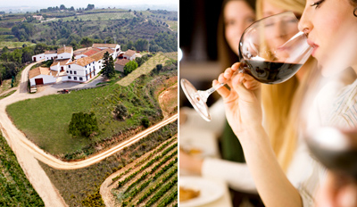 19€ -- Curso de Cata y Degustación de Vinos, antes 42€