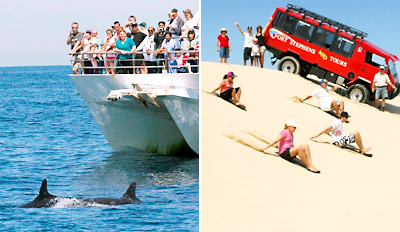 $79 -- Dolphins & 4WD Tour in Pt Stephens w/Lunch, 59% Off 
