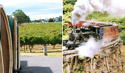 $85 -- Yarra Valley Winery Tour w/Lunch & Puffing Billy Ride
