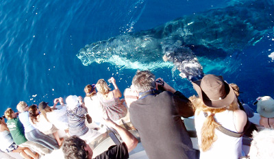 Orange County Deep  Fishing on Local Deal For Orange County More Deals   45 Full Day Deep Sea Fishing