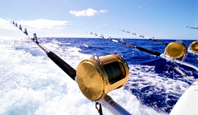 $23 -- 4-Hour Deep Sea Fishing Trip incl. Gear, Reg. $45