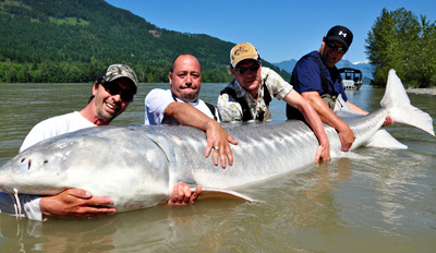 $125 - National Geographic Pick: Sturgeon Fishing Trip