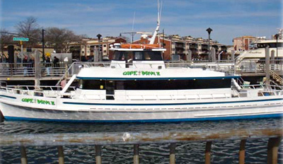 $27 - Full-Day Deep Sea Fishing Trip w/Gear, Reg. $55