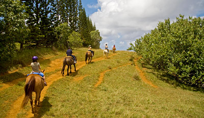 $49 - Guided Horseback Trail Ride w/Steak Dinner, Reg. $113