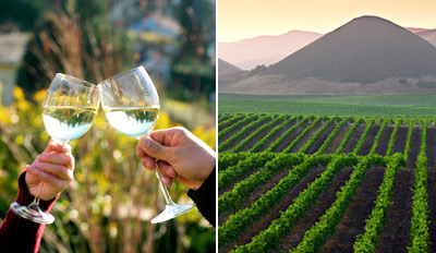 $25 - Top Sunset Mag Winery: Tour w/Tastings, Reg. $110