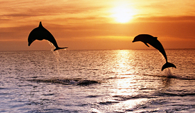 $49 -- Sunset Tour of Honolulu's Maunalua Bay, Reg. $99
