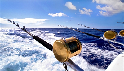 Deep  Fishing Orange County on 30   Deep Sea Fishing Off Sd Coast W Gear  Reg   60   Spreebird Deals