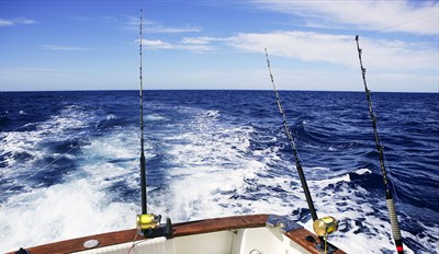 $119 -- Ocean Fishing Trip off San Juan Islands, 50% Off
