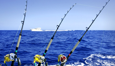 Deep  Fishing Ocean City on 25   Deep Sea Fishing Trip W Gear   Lunch  Reg   55   Travelzoo Local