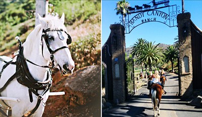 $39 - Scenic Horseback Ride in Bandy Canyon, Reg. $90