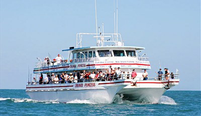 Deep  Fishing  Orlando on Local Deal For Orlando More Deals   30 Half Day Deep Sea Fishing Trip